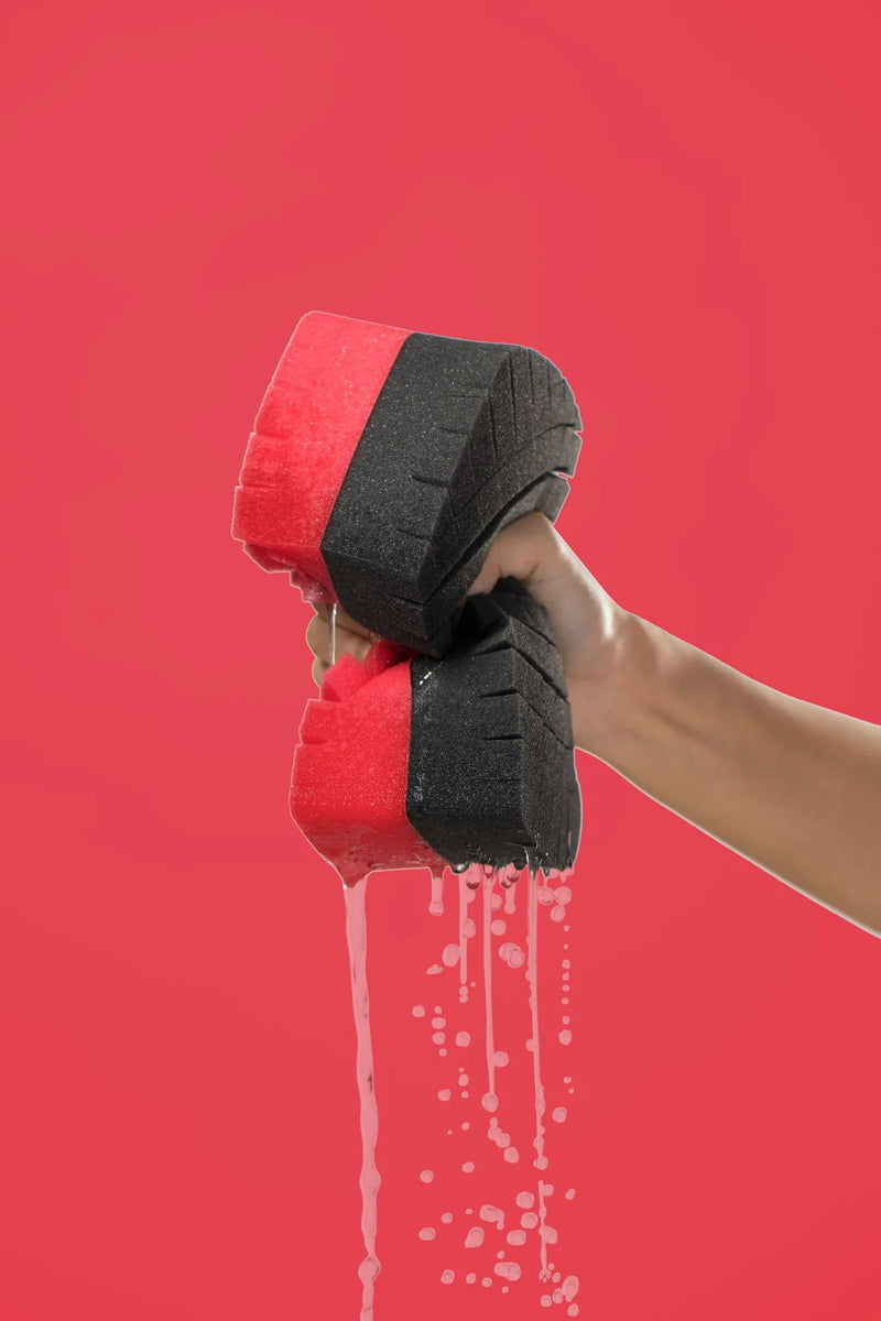 Legacy Sponge-2