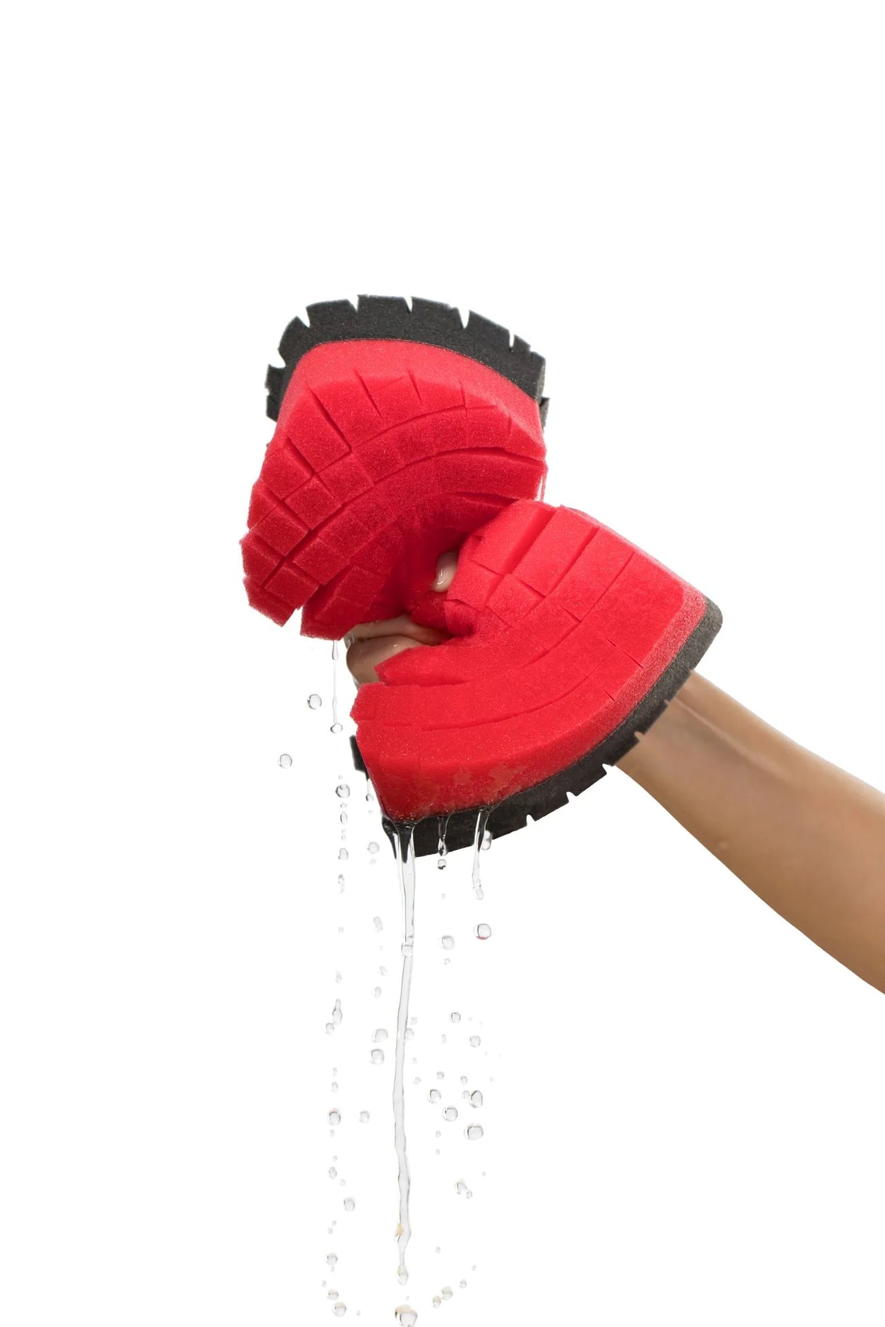 Legacy Sponge-1
